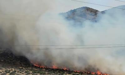 Amenaza incendio forestal reserva natural en Los Angeles de la Narro
