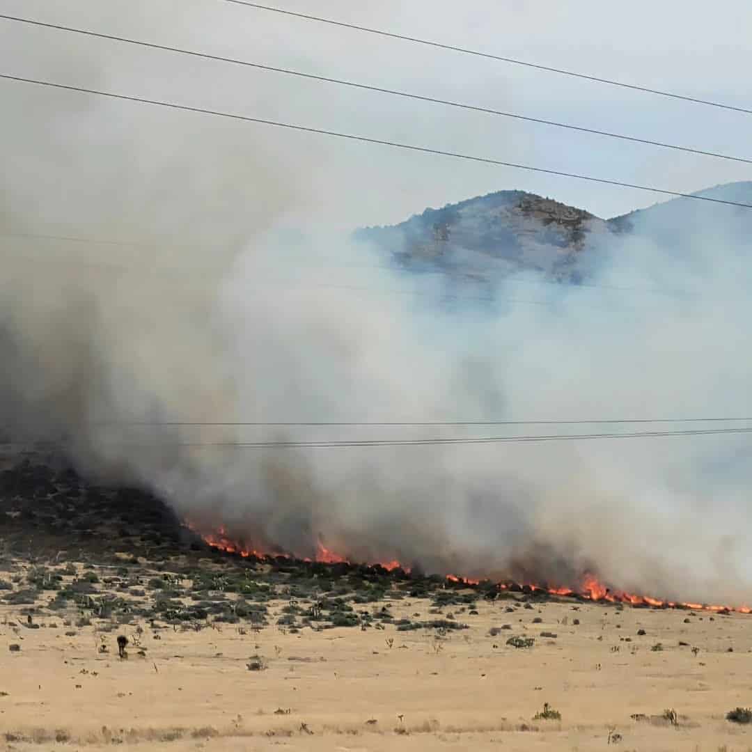 Columnas de humo se elevan sobre la reserva Los Ángeles de la Narro, mientras brigadas forestales luchan por contener el incendio.
