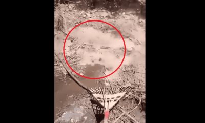 ¿Nuevo volcán?: Sale agua hirviendo en Michoacán