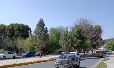 Multan a cinco por hacer carne asada