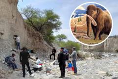 SORPRENDENTE: Encuentran posibles restos de mamut en Tamaulipas