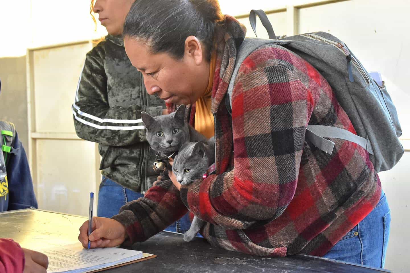 El 25 de abril se llevará a cabo la jornada gratuita de esterilización de mascotas.