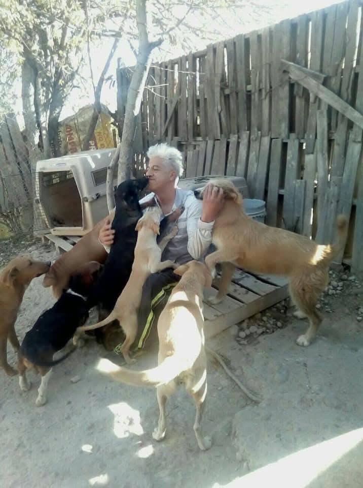 Piden apoyar el programa “Patitas al Agua” para garantizar el alimento de los perros del albergue “Patitas de Paz”.