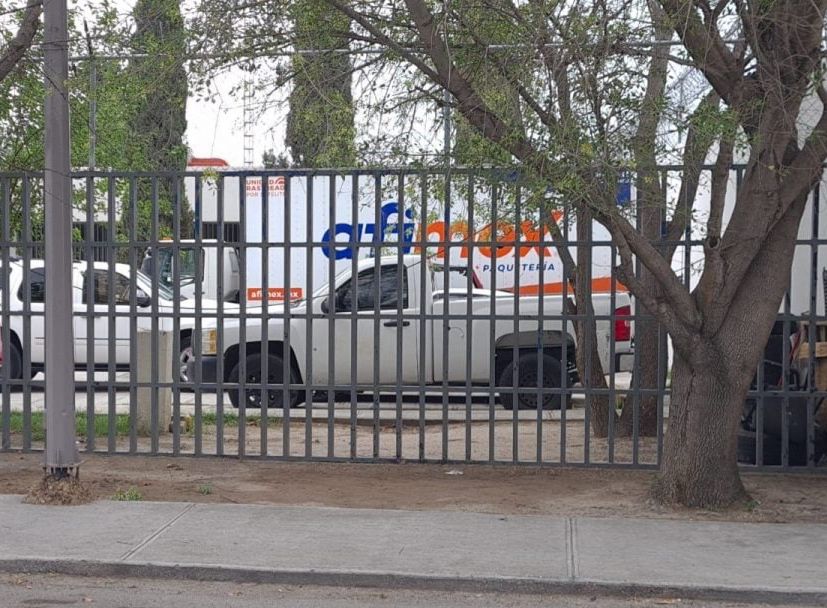 Detectan kilo de mariguana en envío de paquetería Afimex
