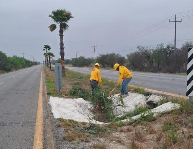 Realiza CONAFOR labores preventivas en la Zaragoza-Morelos Realiza CONAFOR labores preventivas en la Zaragoza-Morelos