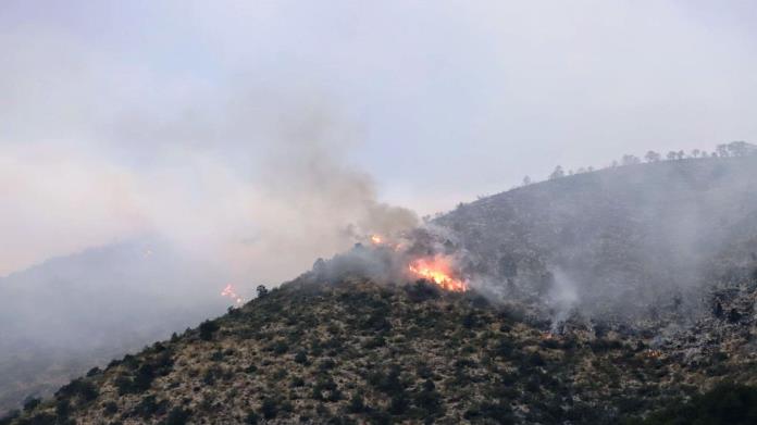 Continúan labores de contención del fuego en Arteaga Continúan labores de contención del fuego en Arteaga