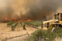 Incendios en Israel amenazan Jerusalén