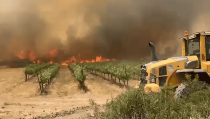 Incendios en Israel amenazan Jerusalén