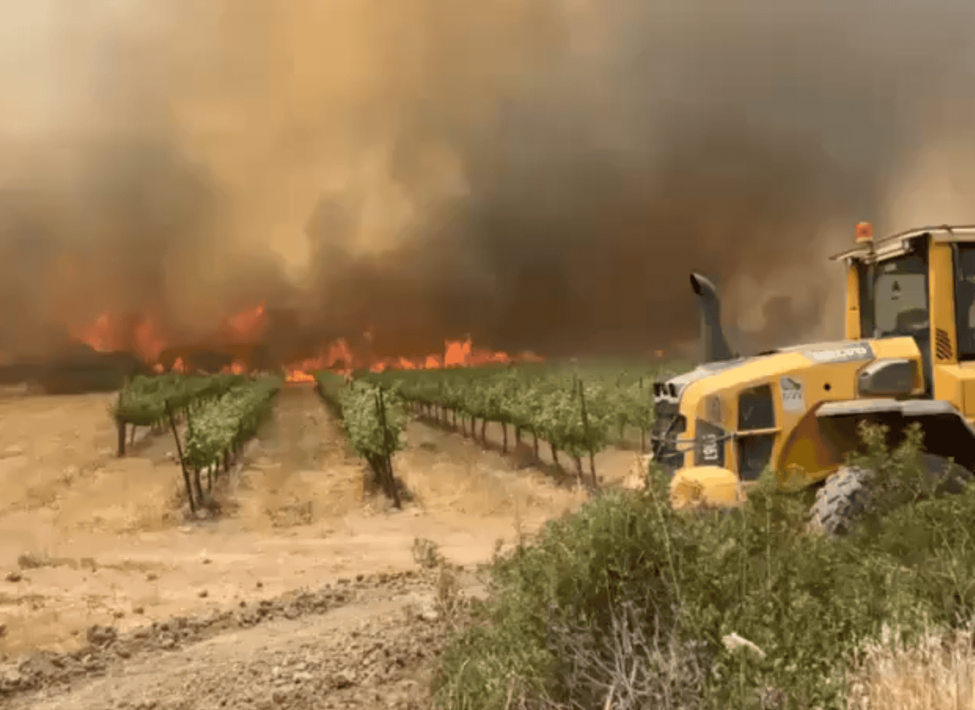 Incendios en Israel amenazan Jerusalén