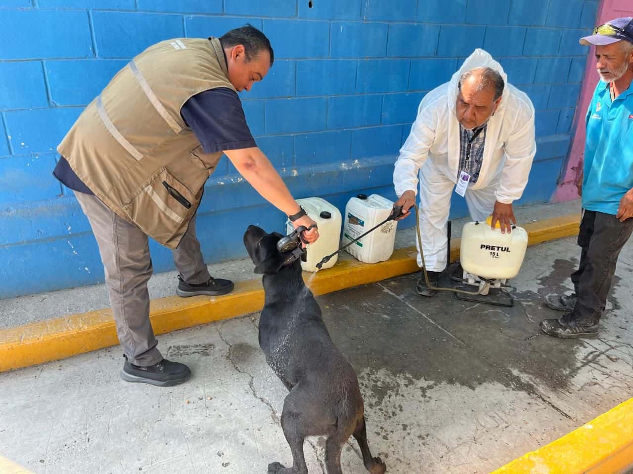 Refuerzan brigadas contra la Rickettsia en Acuña