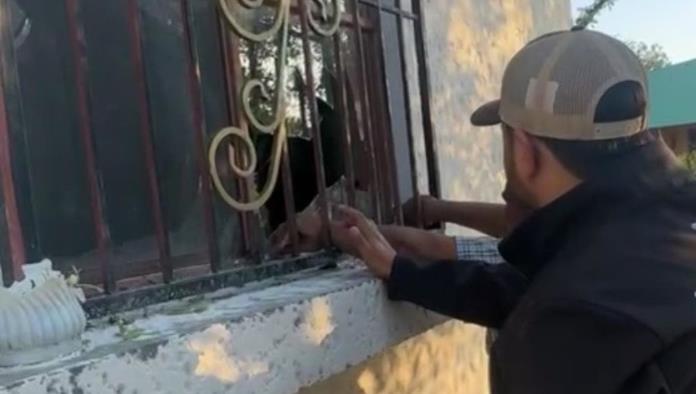 Tromba azota el Municipio de Progreso, dejando daños materiales