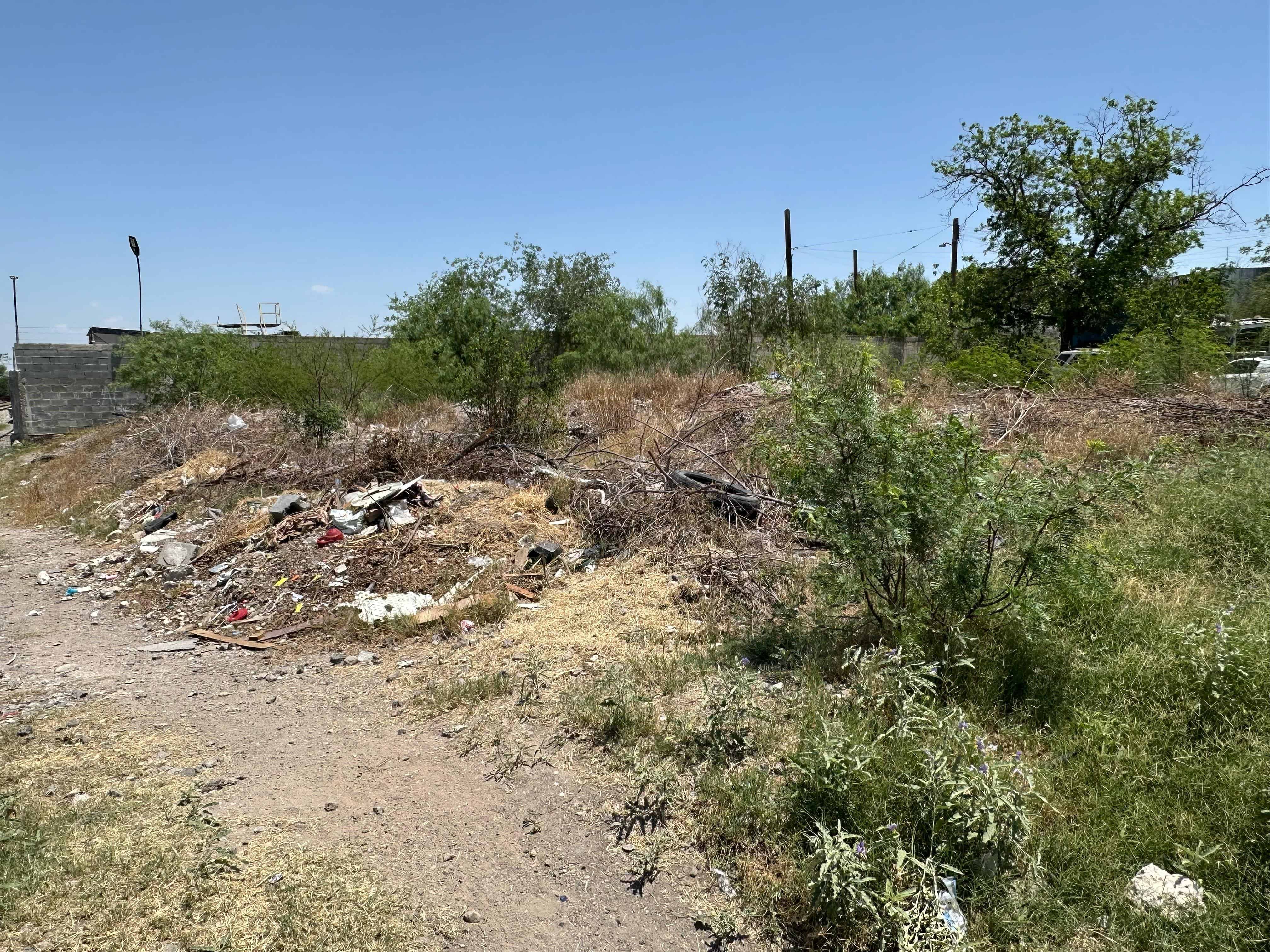 La voz en tu colonia: ¿Y los servicios? Sin limpieza en la colonia Altamira