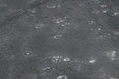 Nuevo frente frío dejará lluvias y vientos en Coahuila
