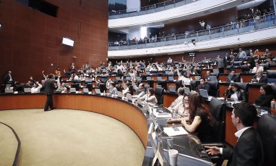Senado aprueba la Estrategia de Seguridad de Sheinbaum