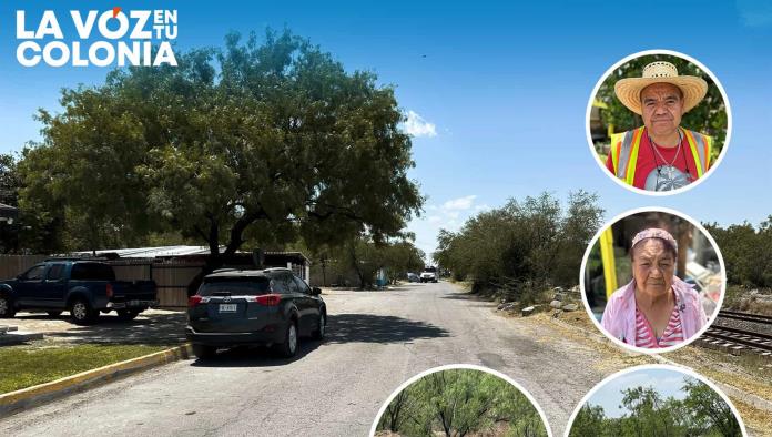 La voz en tu colonia: ¿Y los servicios? Sin limpieza en la colonia Altamira