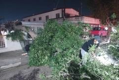 Tormenta causa severos daños materiales en Sabinas