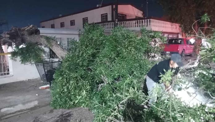 Tormenta causa severos daños materiales en Sabinas