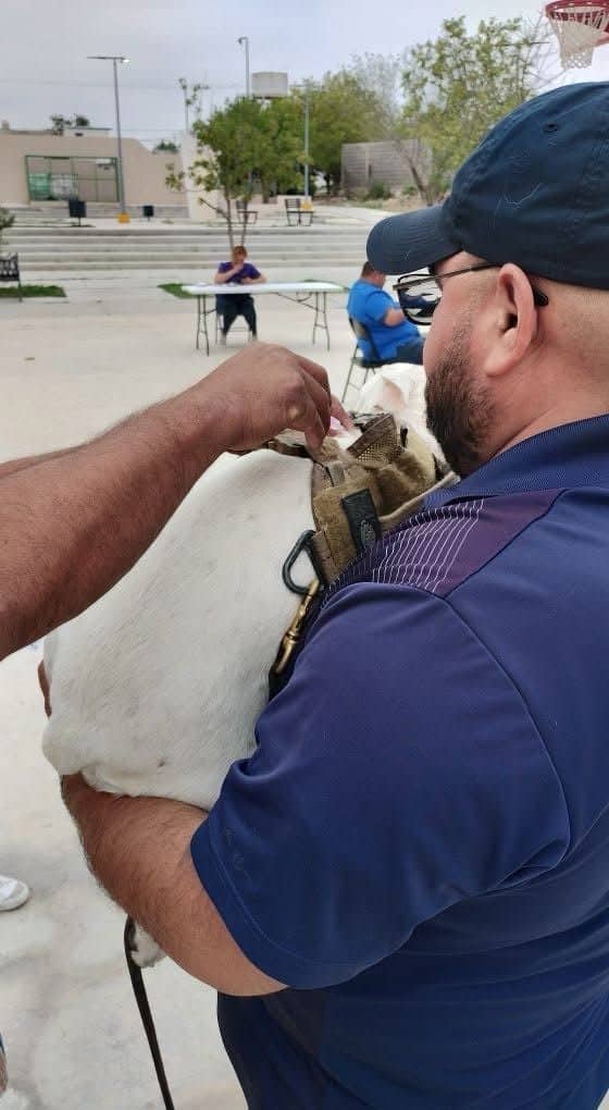 Activan brigadas en Ciudad Acuña para frenar contagios por Rickettsia