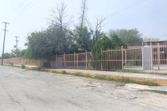 Revisarán en Frontera árboles más antiguos 