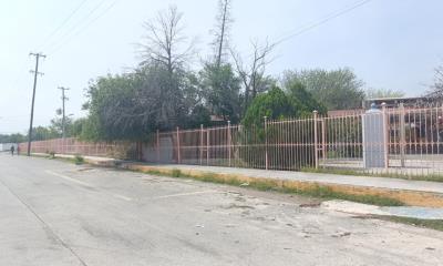 Revisarán en Frontera árboles más antiguos 