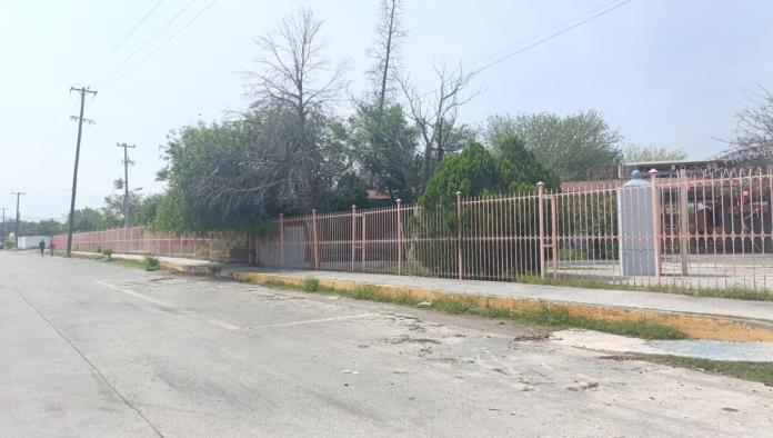 Revisarán en Frontera árboles más antiguos 