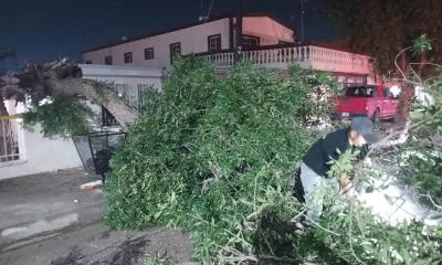 Reportan daños 19 viviendas