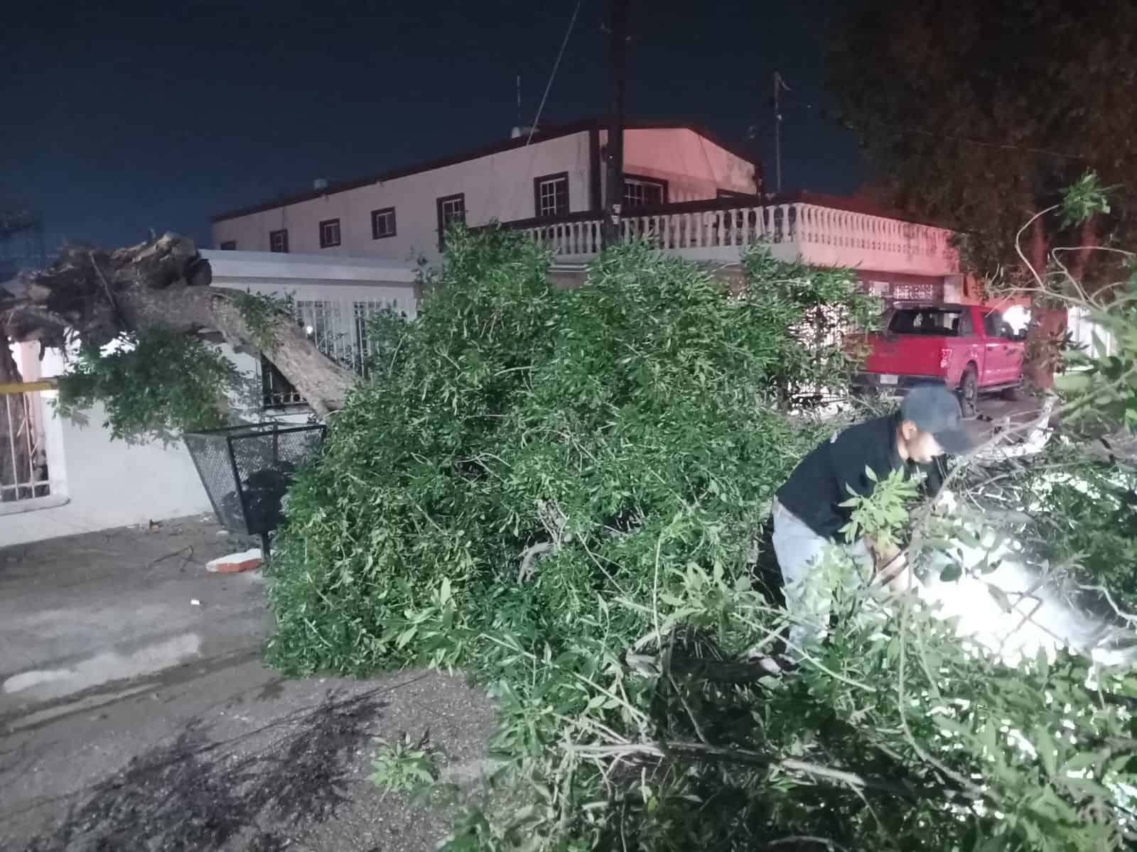 Reportan daños 19 viviendas