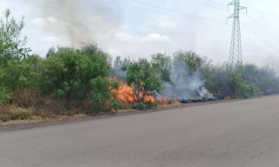 Consume incendio una hectárea de maleza