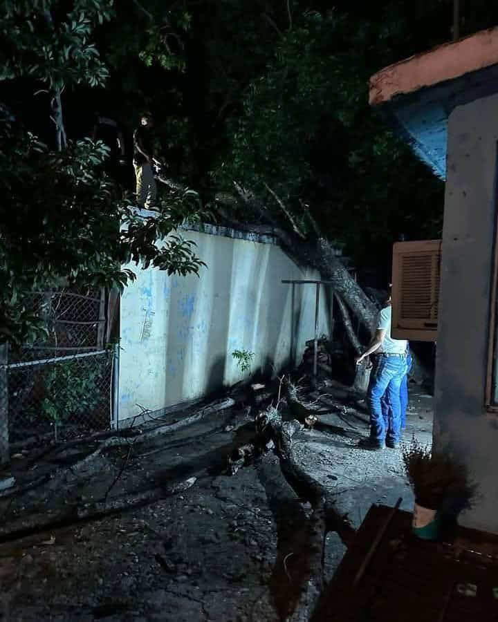 Atienden daños por tormenta en Nava: árboles caídos, inundaciones y cortes de servicios
