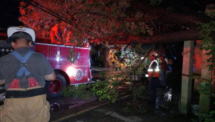 Atienden daños por tormenta en Nava: árboles caídos, inundaciones y cortes de servicios