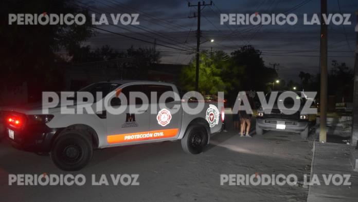 Atacan abejas a mujer y sus hijos
