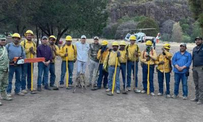Extinguen al 100 % incendio forestal en Boquillas del Carmen