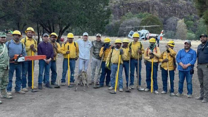 Extinguen al 100 % incendio forestal en Boquillas del Carmen
