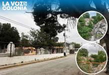 La voz en tu colonia: Vecinos denuncian basurero clandestino junto al panteón de Acuña