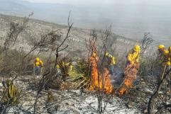 Controlan incendios en Sierra La Madera