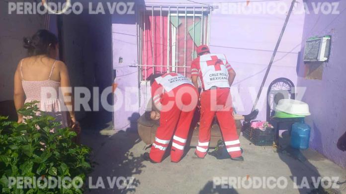 Halla colgado a su vecino Halla colgado a su vecino