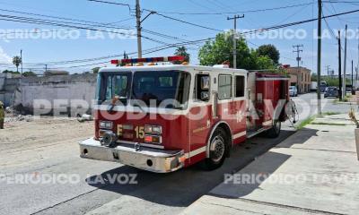 Sigue Bomberos en alerta por abejas