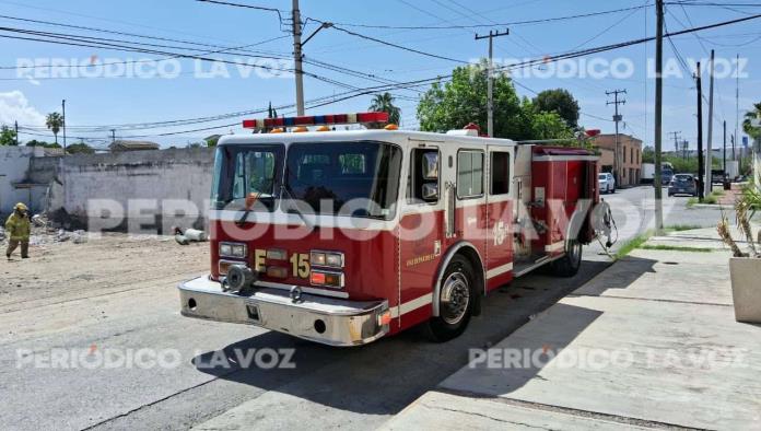 Sigue Bomberos en alerta por abejas