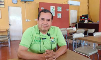 Presentarán libro sobre aves nativas
