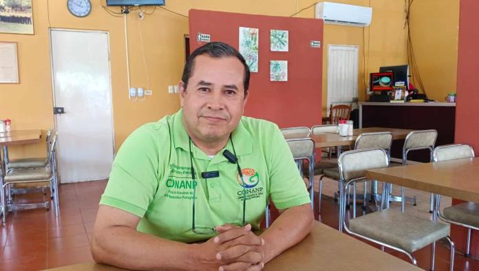 Presentarán libro sobre aves nativas