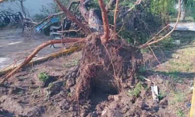 Provoca inundaciones el crecimiento en desorden