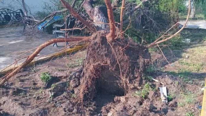 Provoca inundaciones el crecimiento en desorden