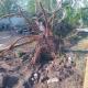 Provoca inundaciones el crecimiento en desorden