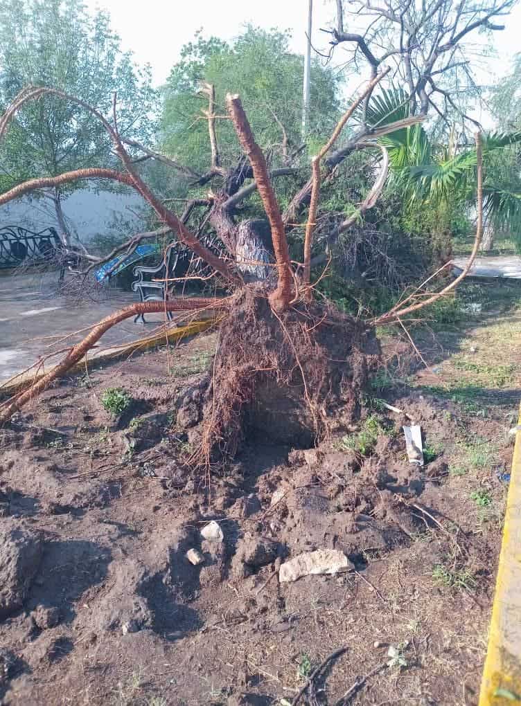 Provoca inundaciones el crecimiento en desorden