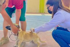 de salud animal a la 16 de Abril