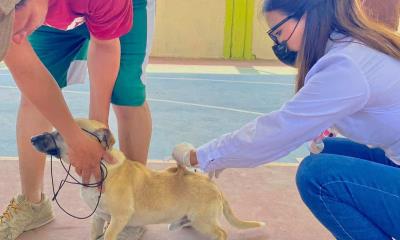 de salud animal a la 16 de Abril
