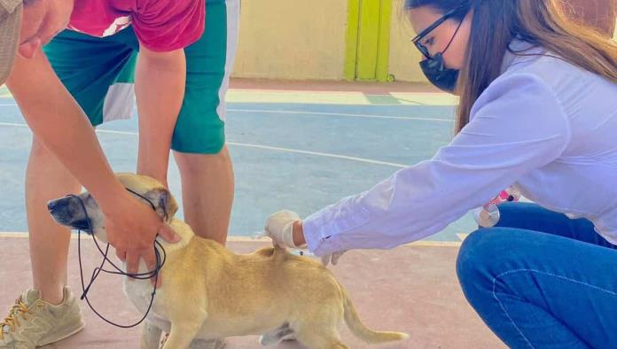 de salud animal a la 16 de Abril
