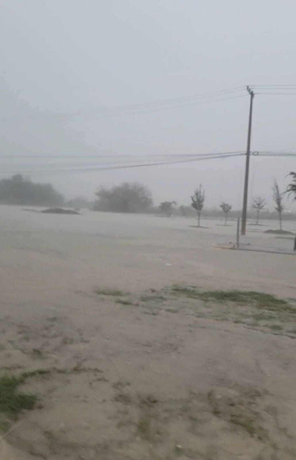 Azotan TORMENTA y granizada a Piedras Negras; reportan SEVERAS afectaciones