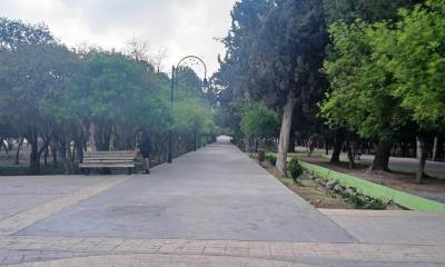 Urge atención a La Alameda en Arteaga