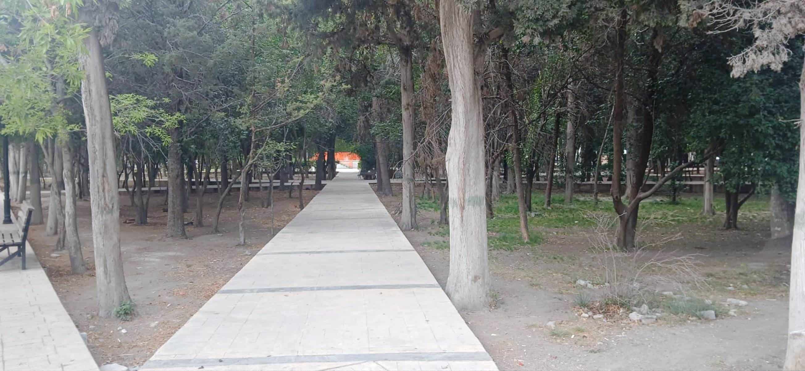 Urge atención a La Alameda en Arteaga